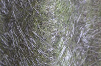 Hebden fibreglass roof work